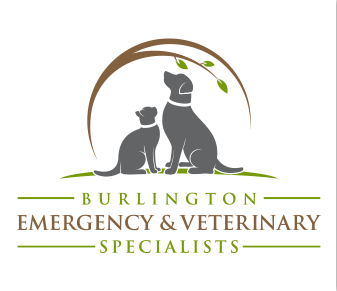 veterinary specialists and emergency