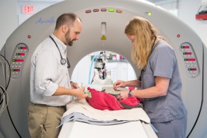 Right: Internal Medicine Specialist Dr. Bryan Harnett and Internal Medicine Supervisor Brenna Mousaw, CVT, VTS (Internal Medicine) perform a CT scan on a feline patient.