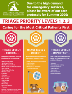 BEVS New TRIAGE PRIORITY LEVELS 1, 2, 3 Caring for the Most Critical Patients First