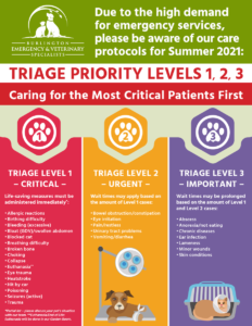 triage priority sign summer 2021