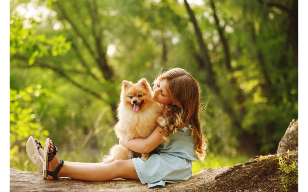 Covering Your Dog or Cat With Pet Health Insurance