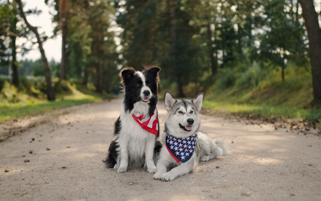Fourth of July Pet Safety: How to Avoid a Pet Health Emergency