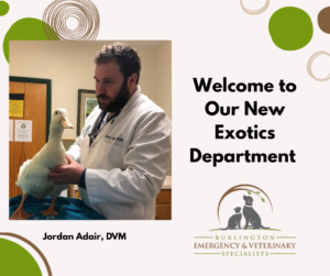 Dr. Jordan Adair examines an exotic animal