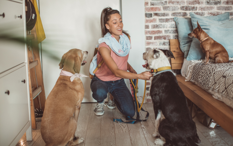 pet sitter kneeling down and petting two dogs