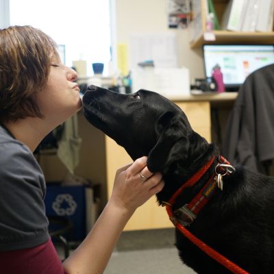 a vet kissing dog mouth