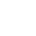 dog with owner