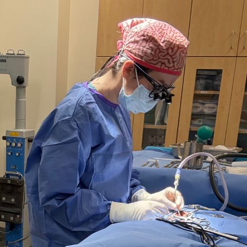 Burlington Emergency and Veterinary Specialists Neurology room
