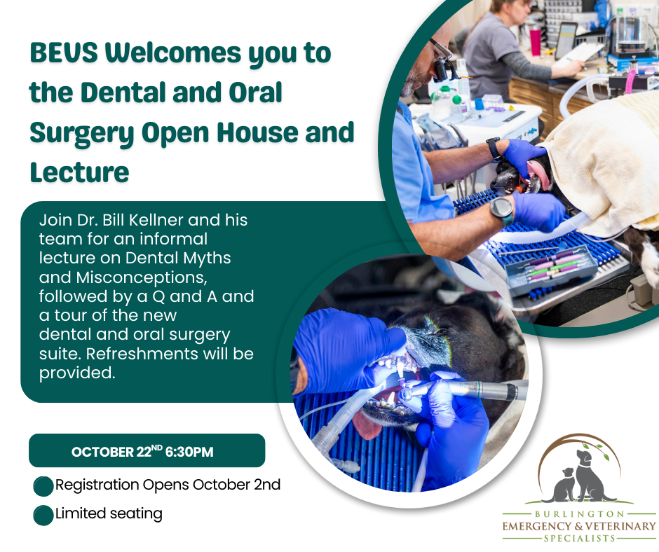 Dental and Oral Surgery