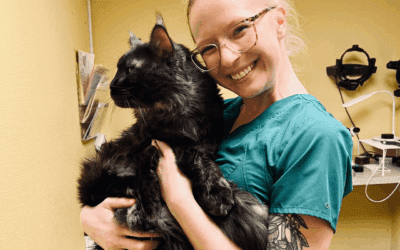 October Technician Spotlight: A Journey from Poetry to Pupils – Jess R.