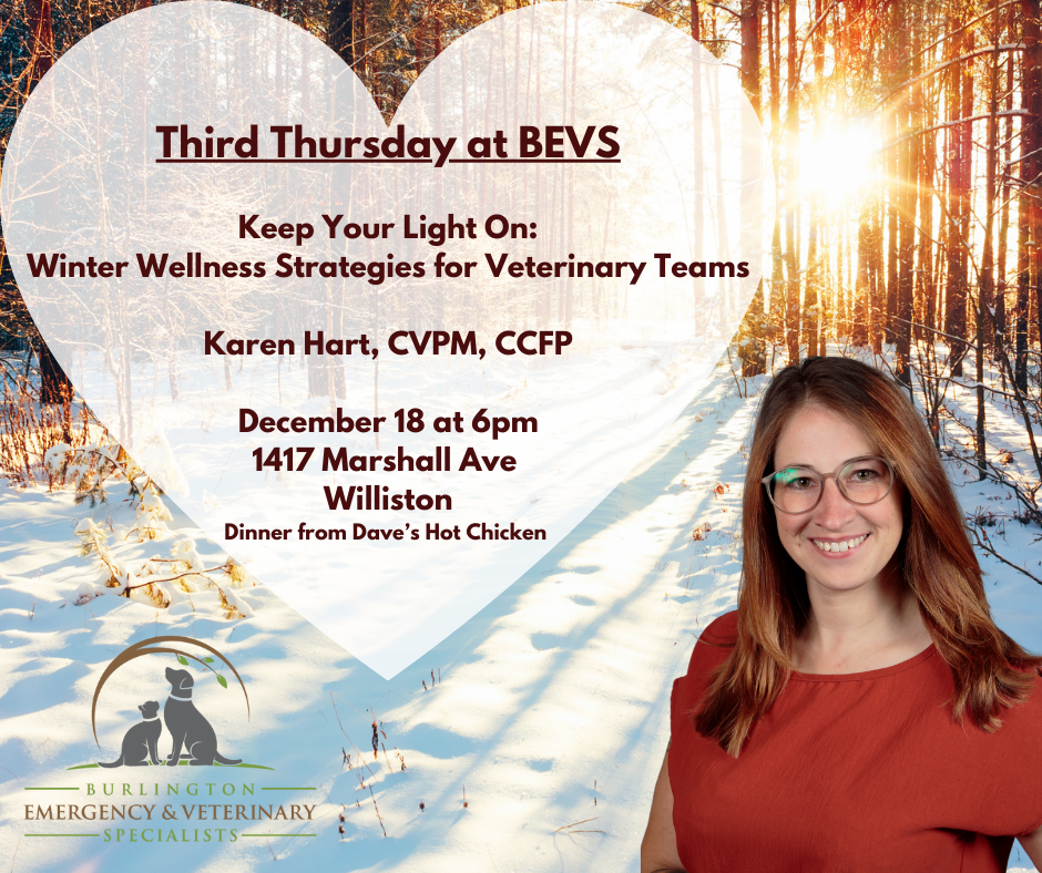 Winter Wellness Event graphics