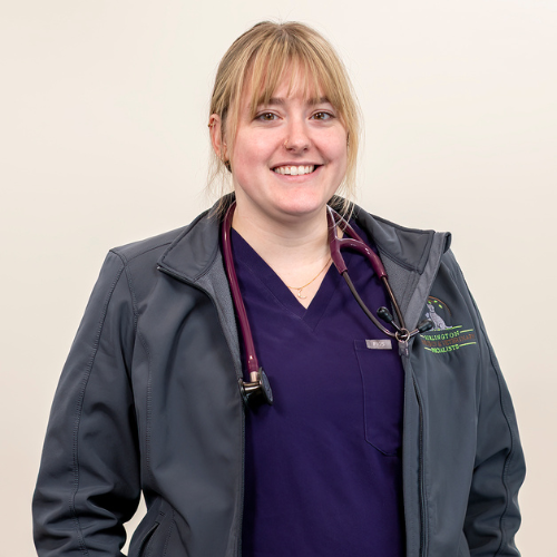 coming soon placeholder