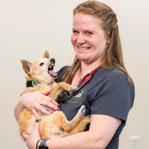 coming soon placeholder