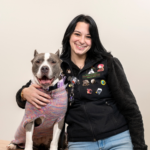 coming soon placeholder