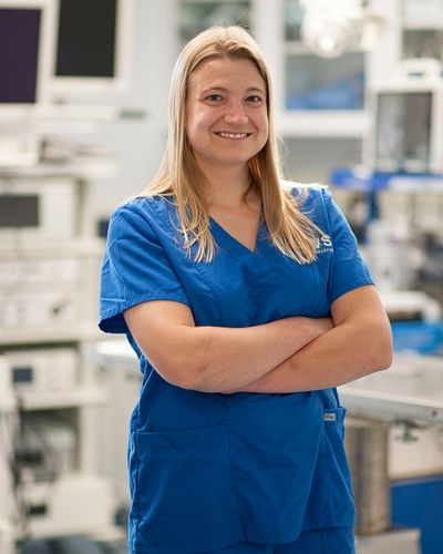 Dr. Josie Mallinckrodt, DVM, DACVS, board-certified veterinary surgeon at BEVS in Burlington, VT