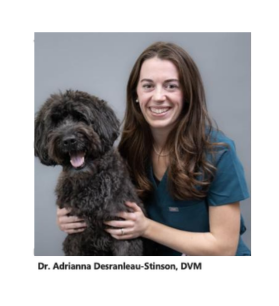 Dr. Adrianna Desranleau-Stinson, emergency veterinarian at BEVS in Williston, VT
