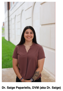 Dr. Saige Papariello, emergency veterinarian serving the Burlington, VT community