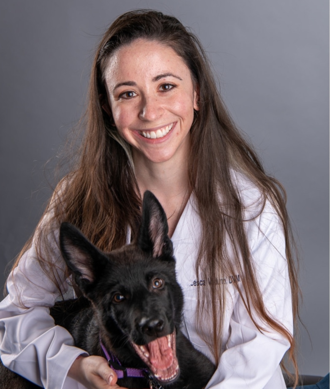 Burlington Emergency and Veterinary Specialists | logo in white bg