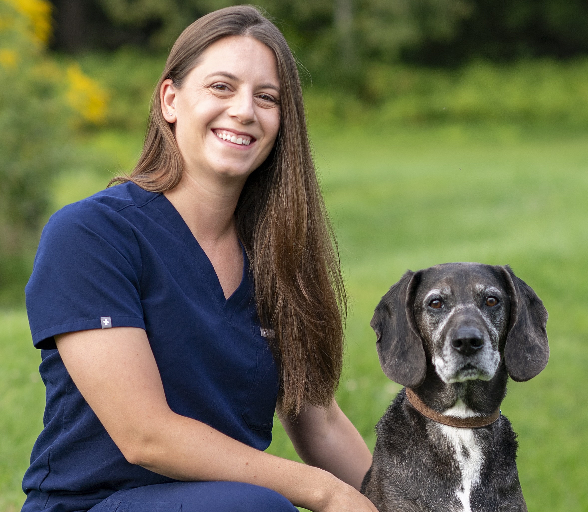 Burlington Emergency and Veterinary Specialists | logo in white bg